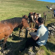 From Doolin: Cliffs of Moher Guided Coastal Walk