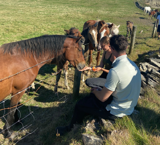 Day Trips and Tours from Doolin