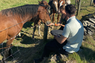 Day Trips and Tours from Doolin