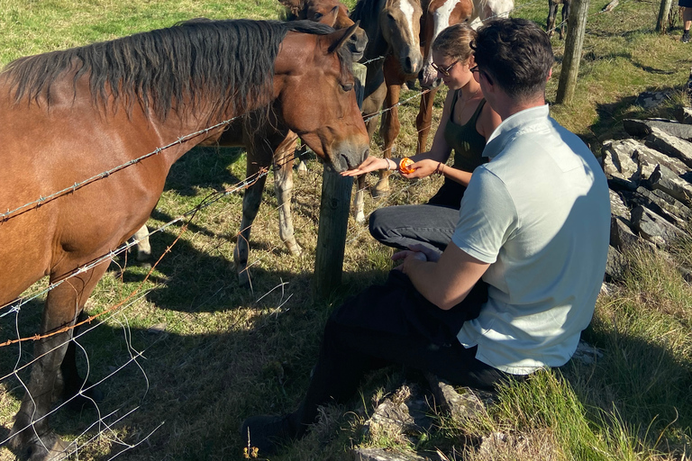 From Doolin: Cliffs of Moher Guided Coastal Walk