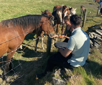 From Doolin: Cliffs of Moher Guided Coastal Walk