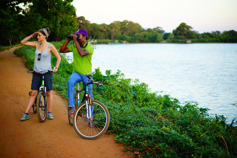 Sigiriya Treehouse Adventure – 3 Days 2 Nights from Colombo