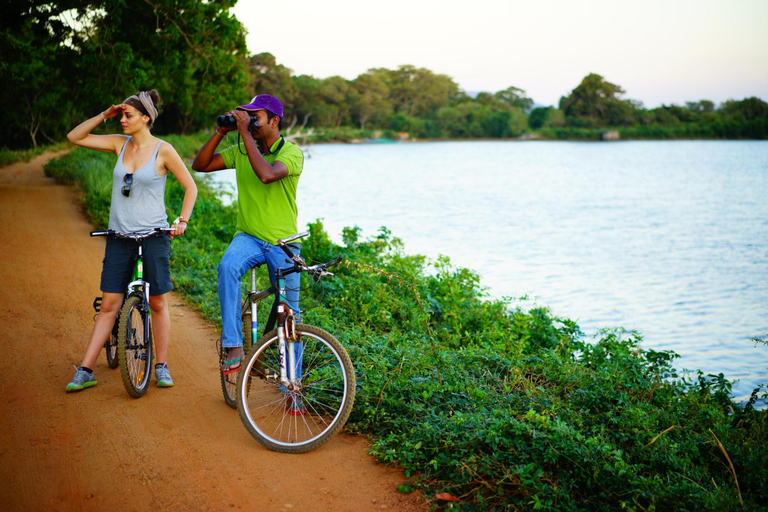 Sigiriya Treehouse Adventure – 3 Days 2 Nights from Colombo
