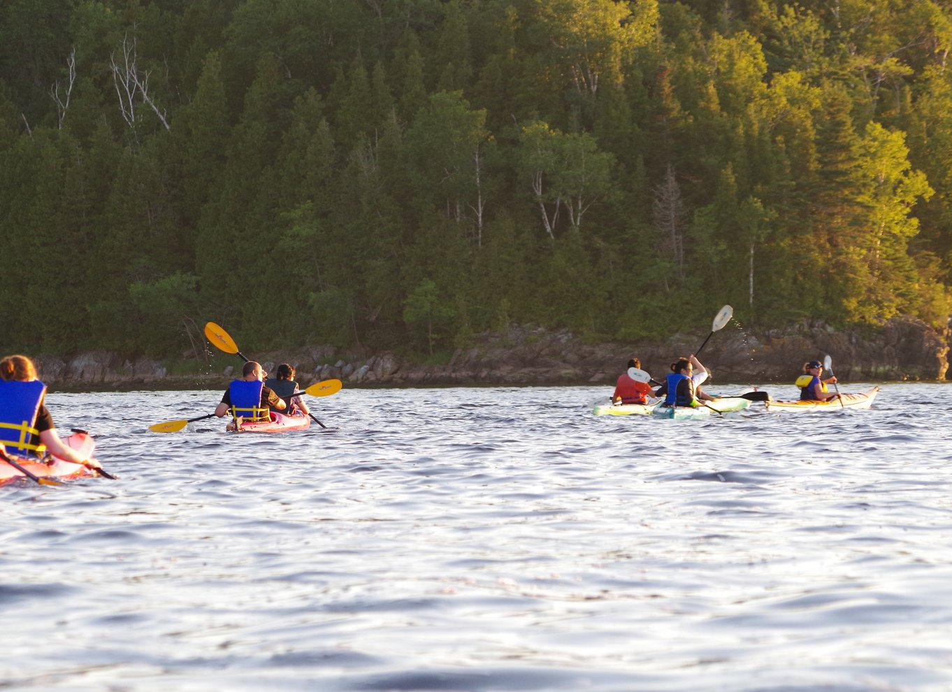 Saint John River: Kajak-tur med flodrelikvier