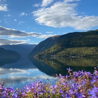 Ulvik: Hardangerfjord and Osafjord RIB Safari