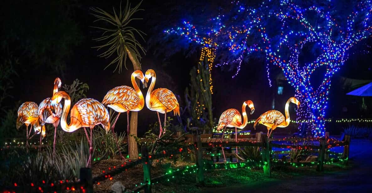 Miami Zoo Lights Miami Entry Ticket GetYourGuide
