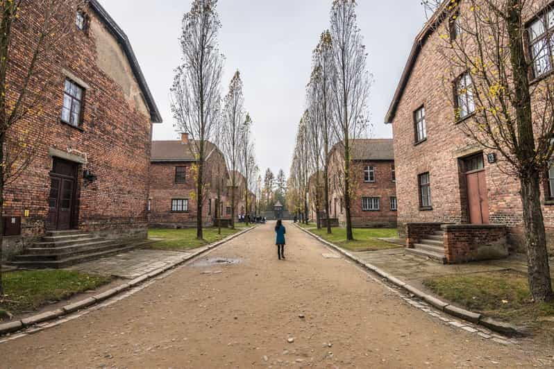 Auschwitz-Birkenau: Fast Track Entry Ticket & Guided Tour | GetYourGuide