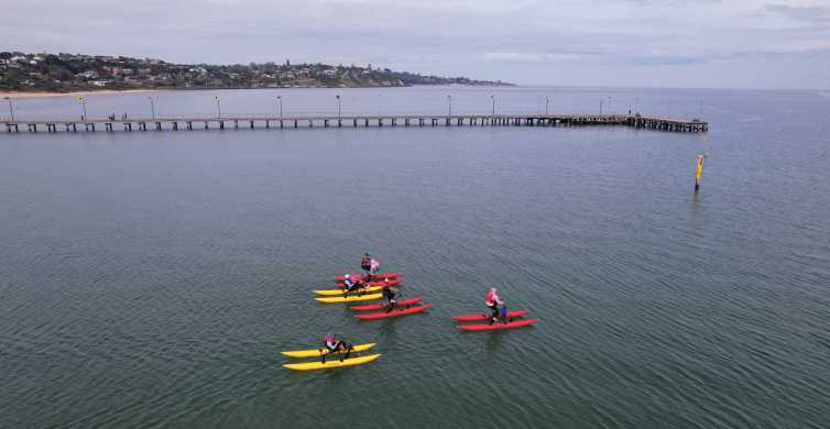 Frankston Port Phillip Bay Water Bike Tour