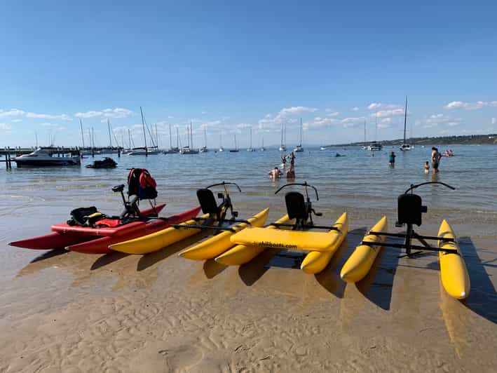 Mornington Port Phillip Bay Water Bike Tour GetYourGuide