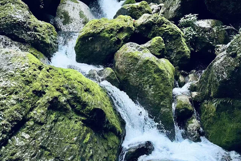 Chengdu: Qingcheng Mountain Entry Ticket & Digital Guide Chengdu: Mount Qingcheng Back Mountain Ticket & Digital Guide