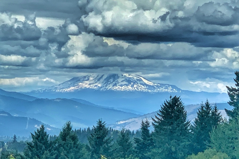 Portland: Excursión de un día a las cataratas Multnomah y al río Hood con vino