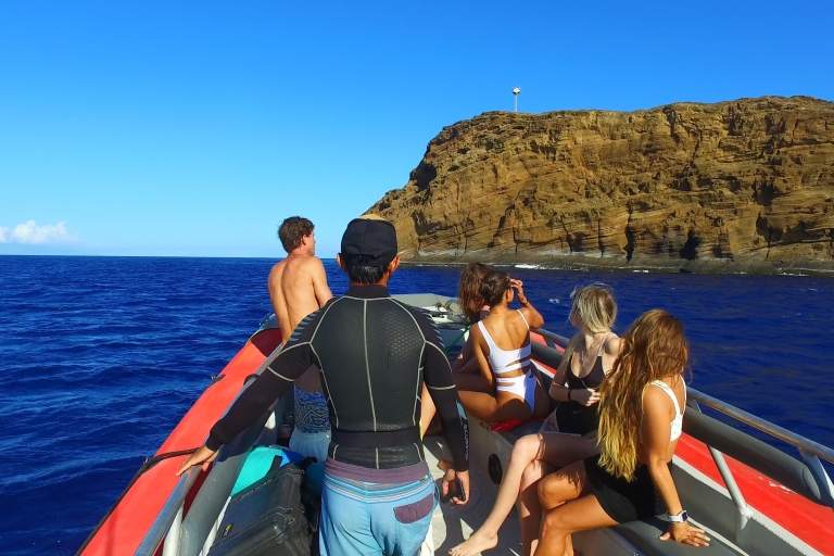 Kihei : Excursion de plongée en apnée au cratère Molokini et à Turtle Town 4 heuresKihei : excursion en bateau pour la plongée libre dans le cratère Molokini