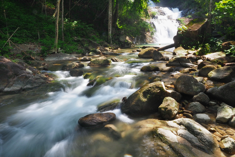 Phuket: Khao Lak Bamboo Rafting, Park, and Waterfall Tour