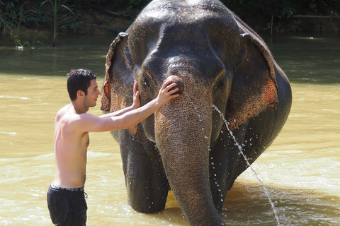 Khao Lak: Tour del Bamboo Rafting, degli Elefanti e del Centro delle Tartarughe