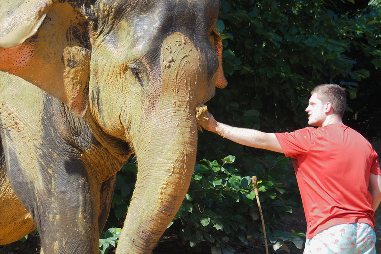 Phuket: Khao Lak Bamboo Rafting, Park en Waterfall Tour