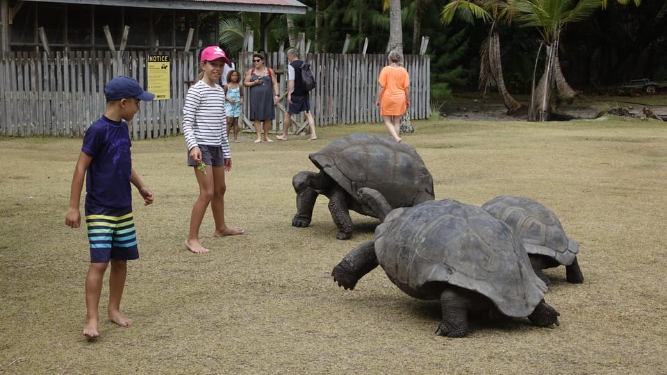 From Praslin Cousin Curieuse St Pierre Islands Day Tour Getyourguide