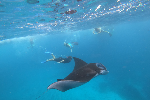 Von Bali aus: Lembongan & Penida 2-Tages-Tour mit SchnorchelnTreffpunkt (keine Abholung und Rückgabe)