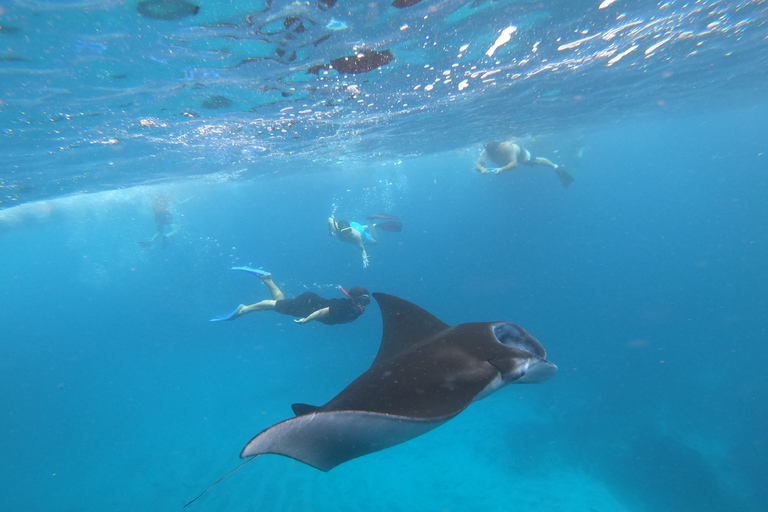 Från Bali: Lembongan &amp; Penida 2-dagarstur med snorklingMötesplats (ingen hämtning och lämning)