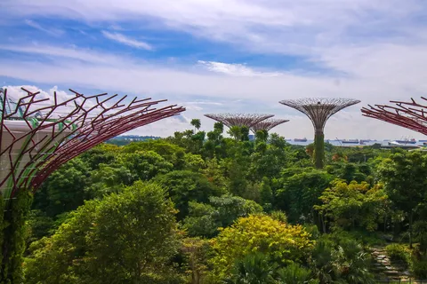 Gardens by the Bay billet d'entrée groupé