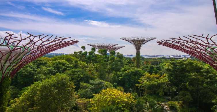 Gardens By The Bay Singapur Tickets