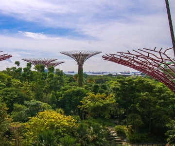 Gardens by the Bay Bundle Entry Ticket