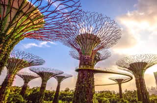 Singapur: Gardens by the Bay Bundle Entry Ticket