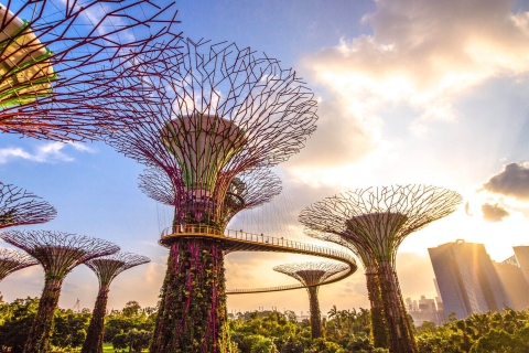 Singapour : Gardens by the Bay billet d'entréeBillet avec la Forêt de Nuages (pour les non-Singapouriens)