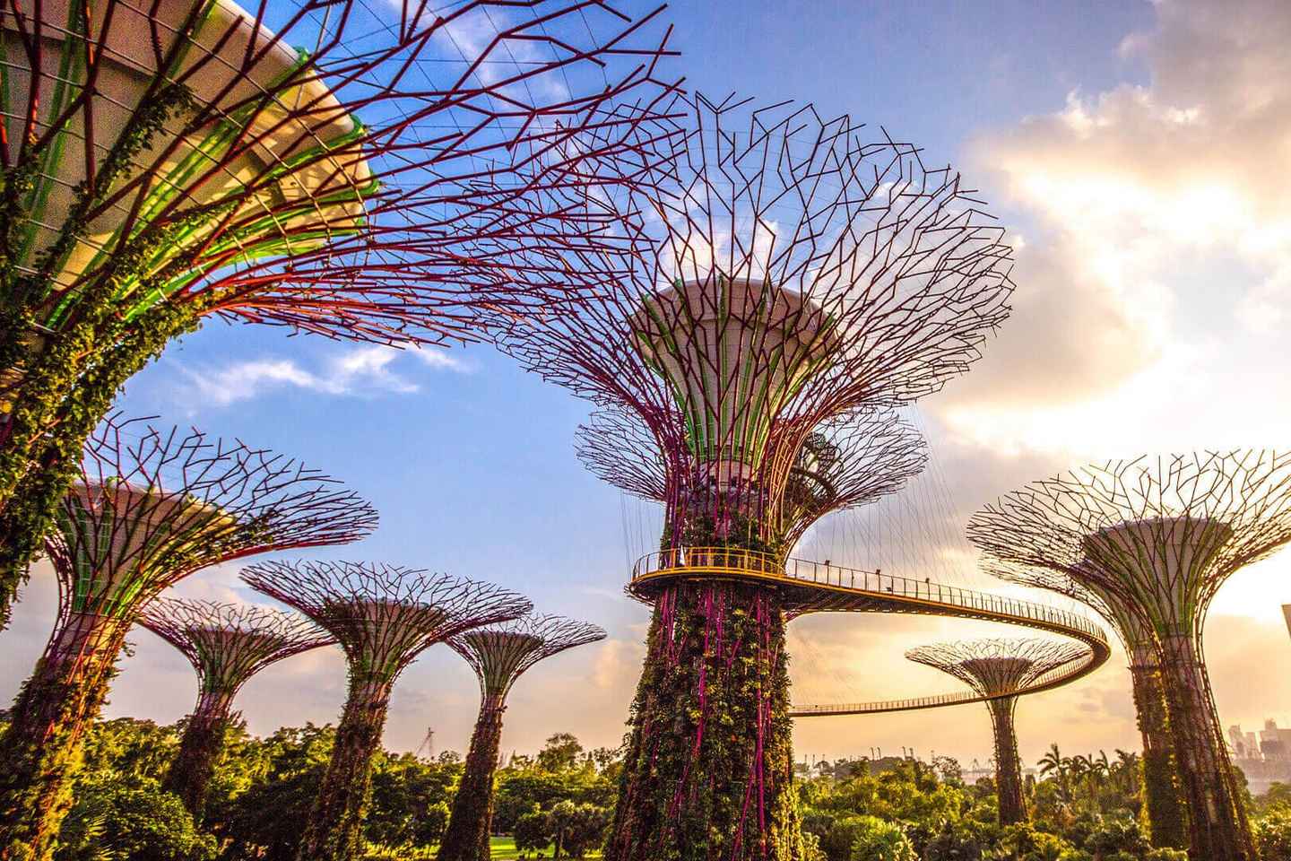 Singapore: Gardens by the Bay Bundle Entry Ticket