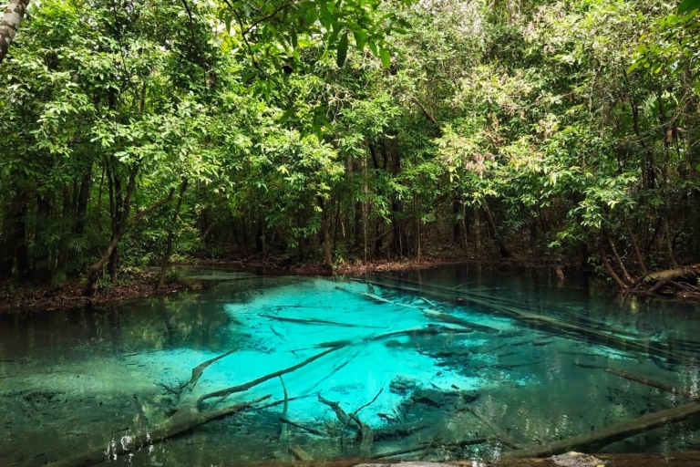 Vanuit Ko Lanta: dagtocht smaragd-poel en warmwaterbronnen