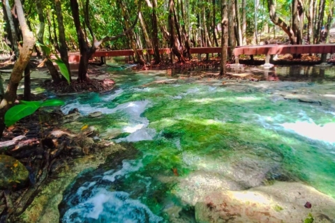Ko Lanta : visite de l'Emerald Pool et des sources chaudes