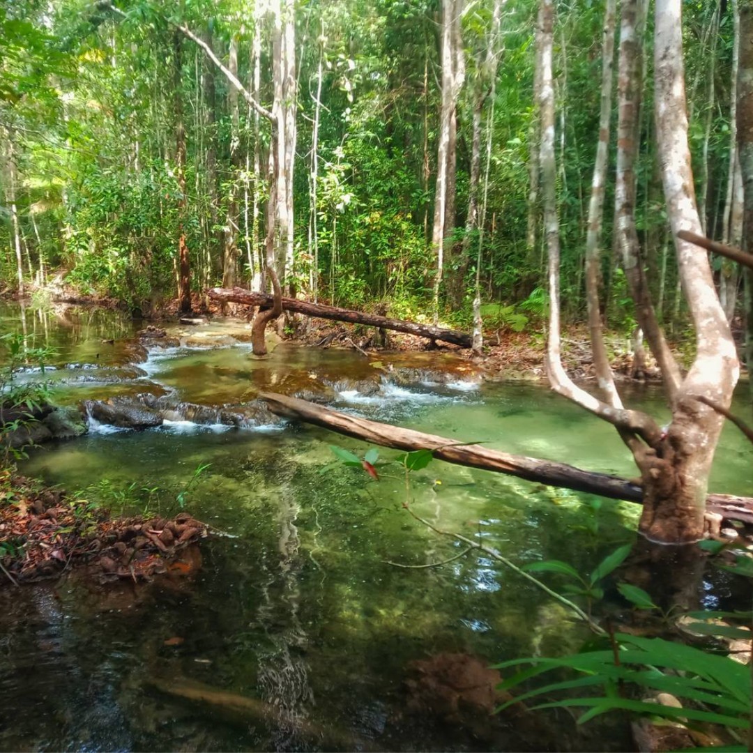 Colagem de mídia