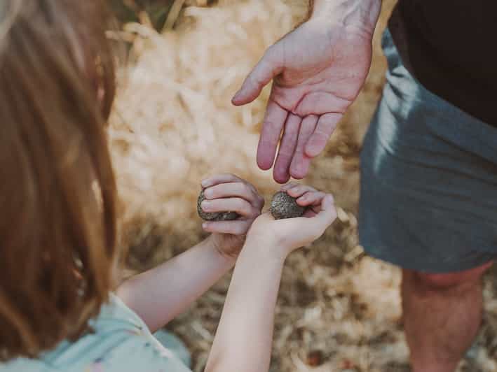 Tuscany Volterra Truffle Hunting Experience GetYourGuide