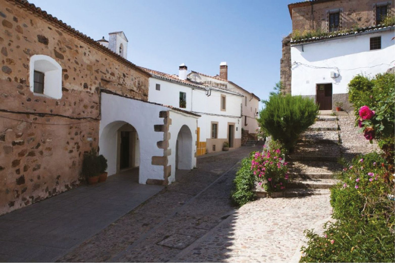 Cáceres: tour a piedi dei punti salienti della città con guida locale