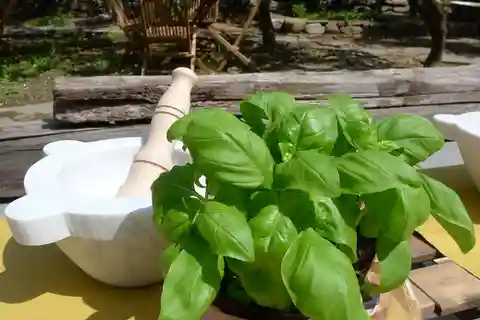Manarola: Pesto Making Class with Tasting and Wine