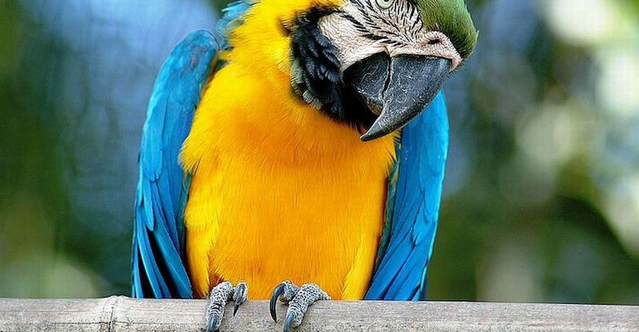 Rome: Bioparco di Roma Zoological Garden Entry Ticket