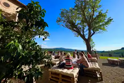 Chianti Hills: Wine tasting & winery tours