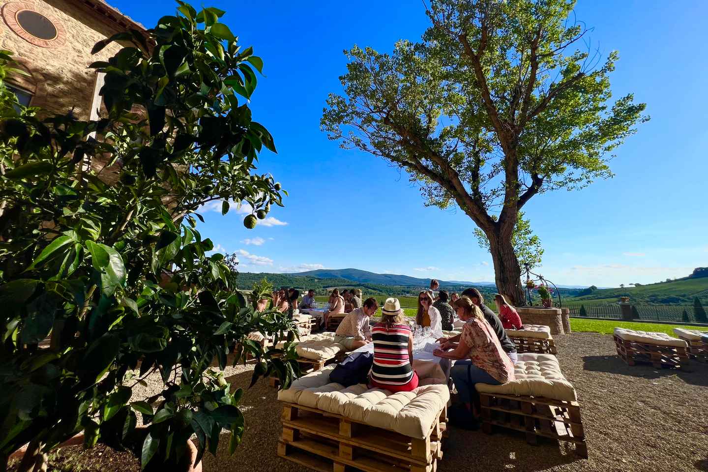 get your guide florenz | get a glimpse of italy's wine region with the chianti half-day afternoon tour