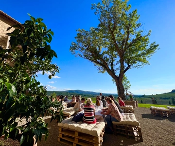 Desde Florencia: Tour de medio día por la tarde en Chianti