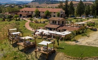 Volterra - Olive oil tasting with lunch with lunch or dinner - Housity