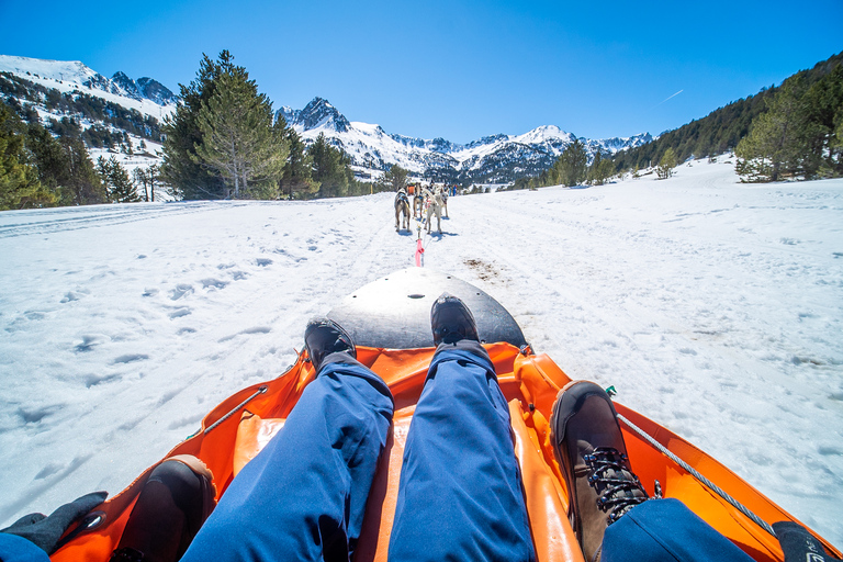 Grandvalira: Dog Sledding Tour in AndorraGrandvalira: Dog Sledding Tour in Andorra-3KM Tour