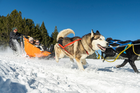 Grandvalira: Dog Sledding Tour in AndorraGrandvalira: Dog Sledding Tour in Andorra-3KM Tour