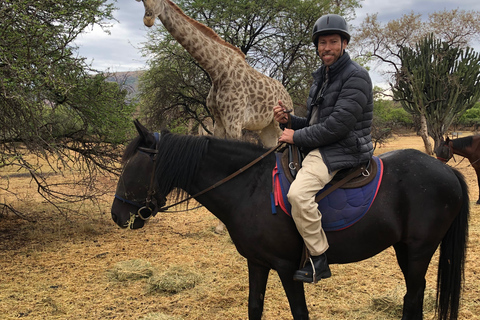 From Johannesburg: Horse-Riding Safari and Cable Car Tour