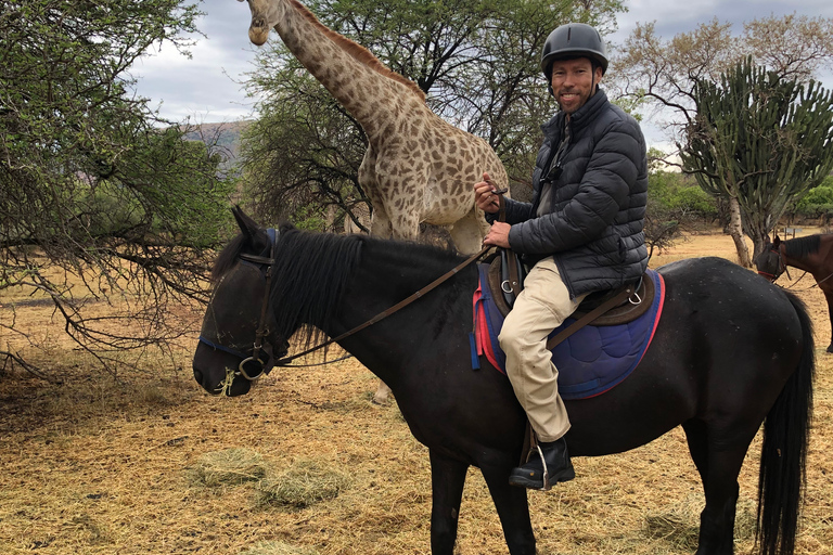 De Johannesburg: Safari à cheval et visite en téléphérique