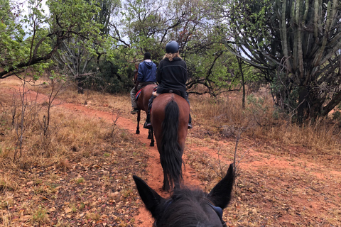 Desde Johannesburgo: safari a caballo y recorrido en teleférico