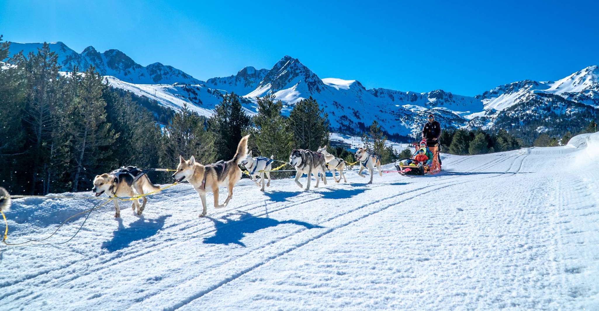 Grandvalira, Dog Sledding Tour in Andorra - Hizvo