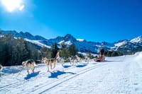 Grandvalira, visite de traîneau à chiens en Andorre - Hizvo