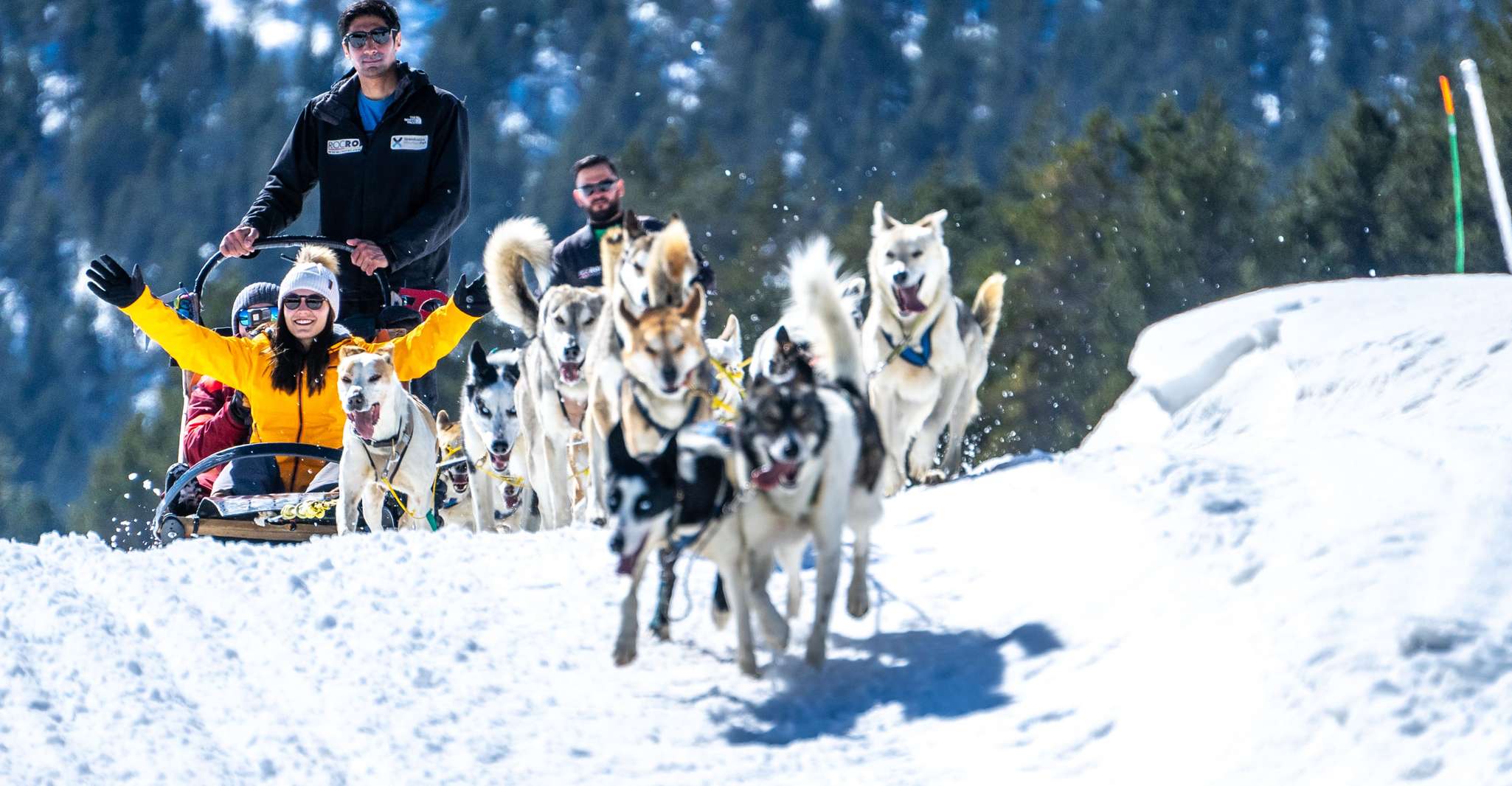 Grandvalira, Dog Sledding Tour in Andorra - Hizvo
