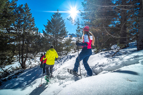 Andorra: 2 hours Snowshoe Rental in Grau Roig