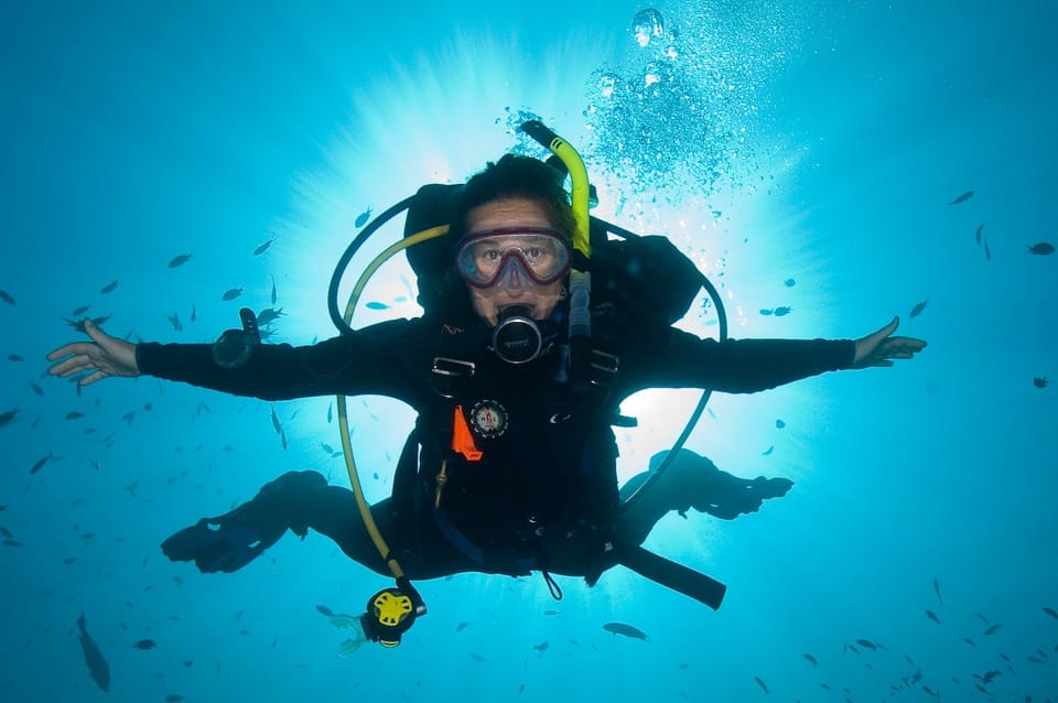 Funchal Expérience De Plongée Sous Marine Pour Les Débutants Getyourguide 