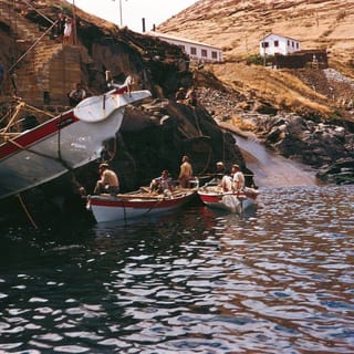 Caniçal: Madeira Whale Museum Entry Ticket and Private Tour